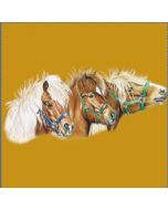Perstransfer: 3 Shetland pony's heads 23x10- H2