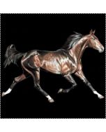 Perstransfer: Running horse dark brown 23x15 - H2