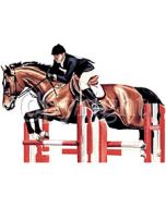 Perstransfer: Horse  & Rider jumper 20x28- H2