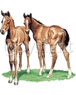 Perstransfer: Horse pasture mates 18x18 - H2