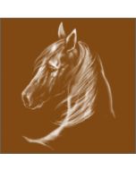 Perstransfer: Horsehead 23x25 - W1