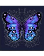 Perstransfer: Blue and purple butterfly 23x20 - W1