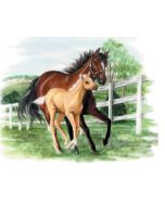 Perstransfer: Horses 20x15 - H1