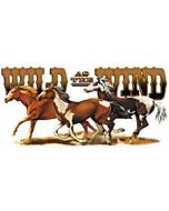 Perstransfer: Wild as the wind 30x15- H2
