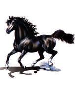 Perstransfer: Airbrush black Horse 31x25 - H2