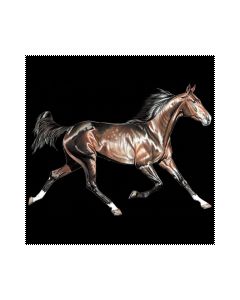 Perstransfer: Running horse dark brown 23x15 - H2