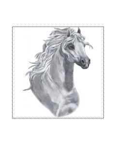 Perstransfer: White arabian horse head 23x28- H2