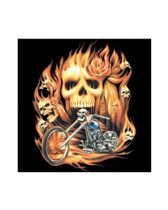 Perstransfer: Biker skull flames 28x30- H1