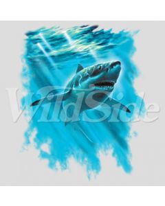 Perstransfer: Great white 20x23 - H1