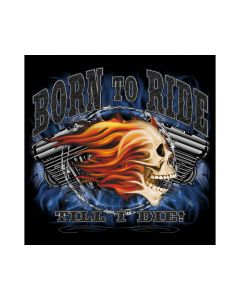Perstransfer: Born to ride 33x28 - W1