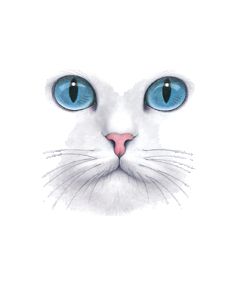 Perstransfer: Big blue eyed cat 15x20 - H1
