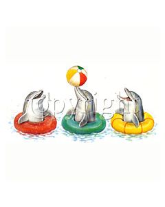 Perstransfer: Spelende dolfijnen 15x30- H2