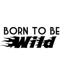 Born to be Wild  ca. 25 x 9 cm