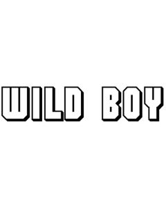 Wild Boy.  ca. 26 x 6 cm