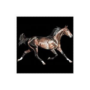Perstransfer: Running horse dark brown 23x15 - H2