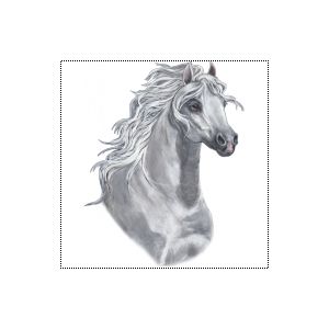 Perstransfer: White arabian horse head 23x28- H2