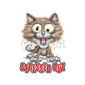 Perstransfer: Stressed out cat 18x23 - H2