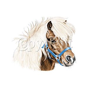 Perstransfer: Pony 18x23 - H2
