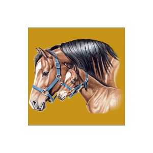 Perstransfer: Horse first born 18x20 - H2