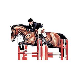 Perstransfer: Horse  & Rider jumper 20x28- H2