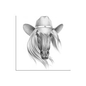 Perstransfer: Horse with hat and hair 18x23 - H1