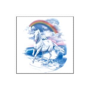 Perstransfer: Horse on beach rainbow 31x33- H1