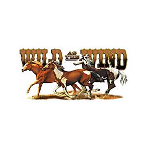 Perstransfer: Wild as the wind 30x15- H2
