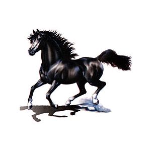 Perstransfer: Airbrush black Horse 31x25 - H2