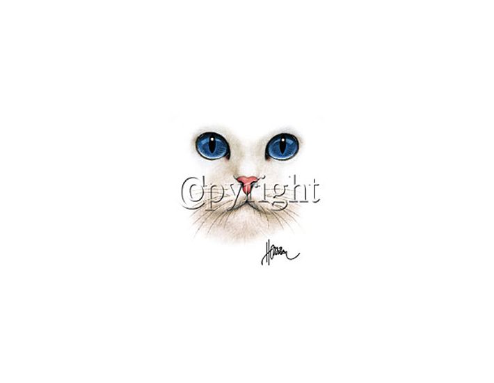 Perstransfer: Big blue eyed cat 31x33 - H1